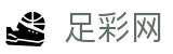 国际足联世界杯下注现场数据与独家情报 - 足彩网